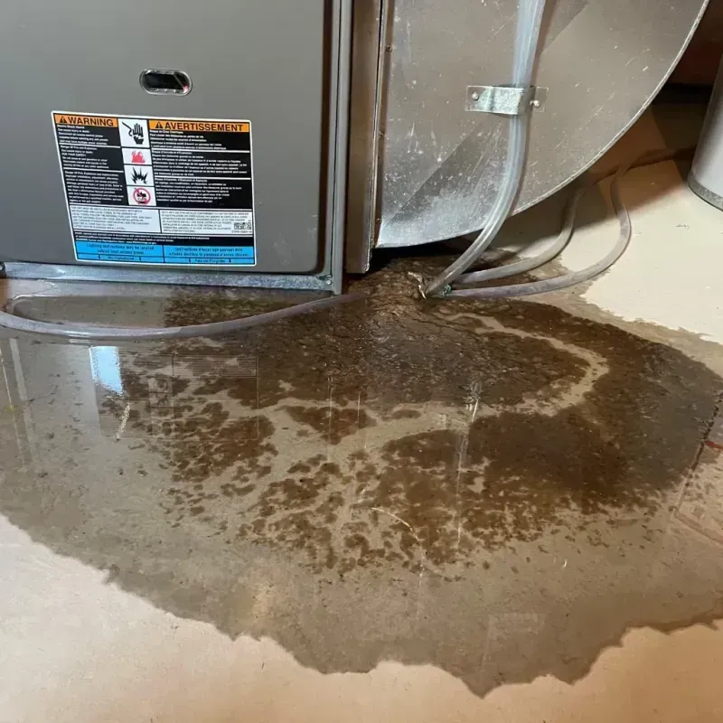 Appliance Leak Cleanup in Bennington, NE